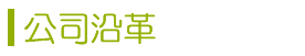 公司沿革 公司沿革